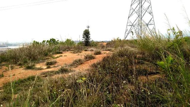 梅峰山的民间传说