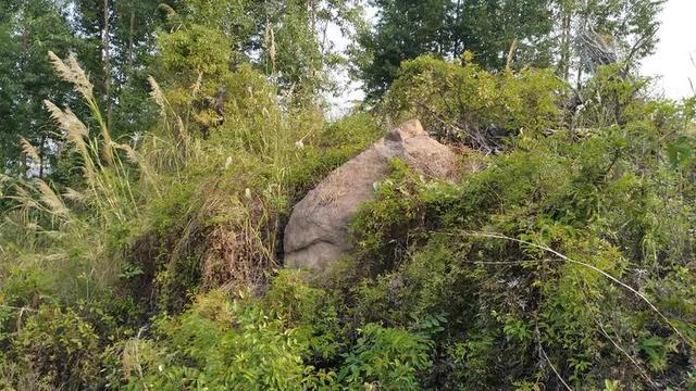 梅峰山的民间传说