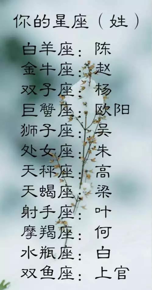 免费测算名字(免费名字打分测试结果)