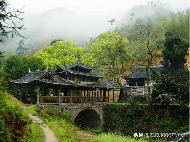 泰顺为何村村“风水林”？老树悠悠，荫佑绵绵