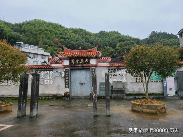 泰顺为何村村“风水林”？老树悠悠，荫佑绵绵