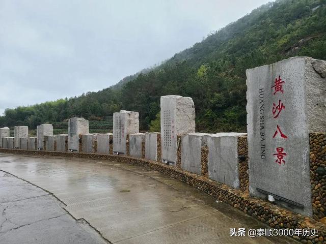 泰顺为何村村“风水林”？老树悠悠，荫佑绵绵