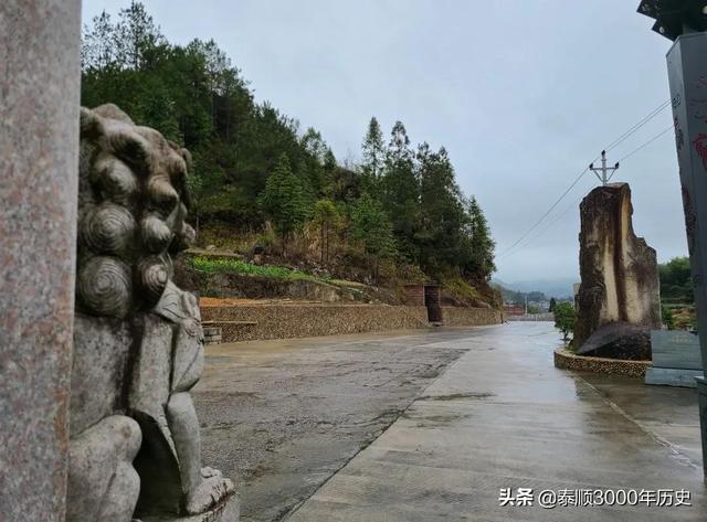 泰顺为何村村“风水林”？老树悠悠，荫佑绵绵