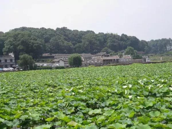 曾国藩家族风水之谜（一）——屋场风水