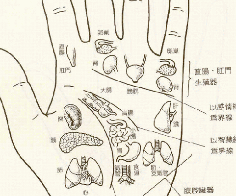 中国风水学中的掌相究竟隐藏有哪些秘密？