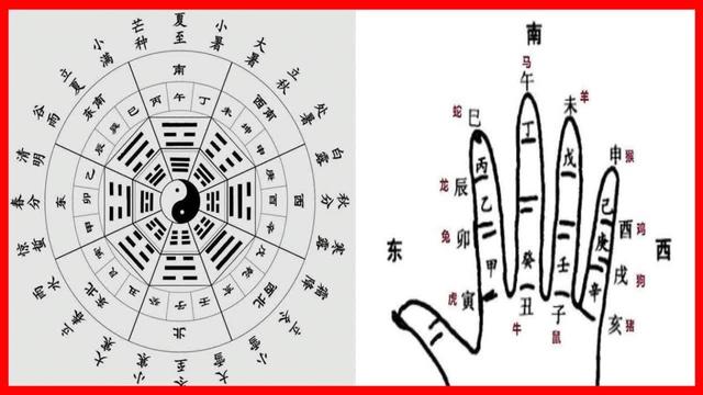 生辰八字实例分析：“特别格局”中的“从强格”！古老的玄学？