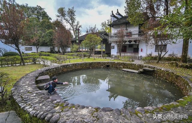 都知严田有棵救皇帝的樟王，却不明那七星伴月是何意，一图见真相