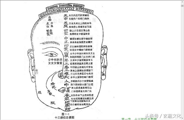 面相教学1：天中、天庭、司空、中正、印堂、山根、年上、寿上