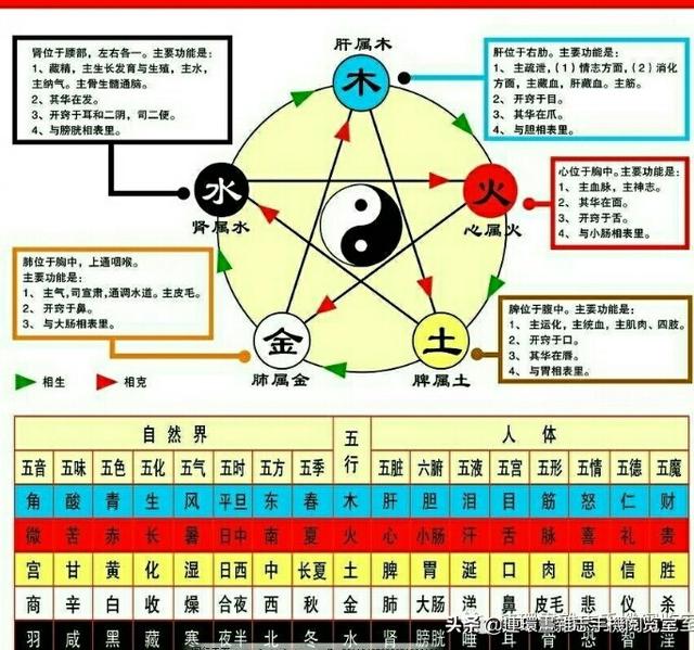 《金木水火土五行查询表》