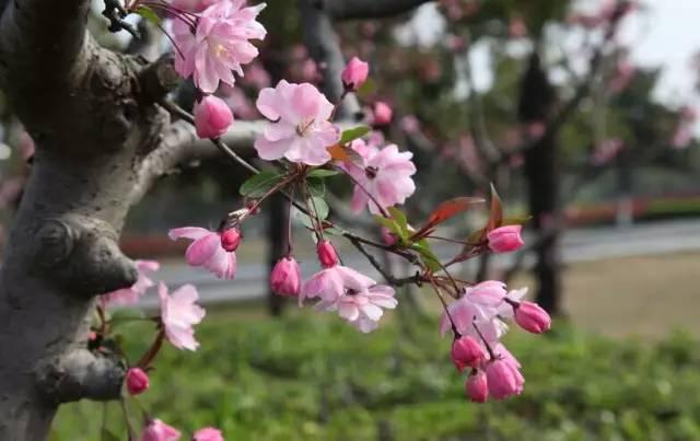 干货 · 庭院景观“风水学”