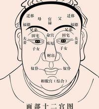 面相知富贵之十二宫 五法和十观