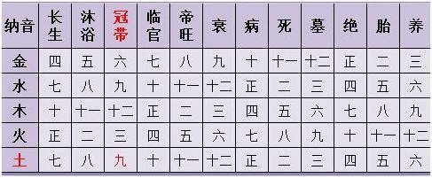 生辰八字计算(生辰八字分析详解)