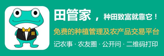 农村人结婚，讲究按生肖属相来算生辰八字，到底靠不靠谱？