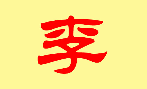 李姓双胞胎起名(两个姓李的宝宝名字)