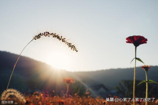 人生感悟的句子，风水轮流转，从来就没有人能一直赢到底