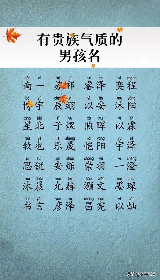 瀹濆疂璧峰悕锛氭潕濮撳疂瀹濊繖涔堣捣鍚嶏紝涓嶈惤淇楀锛屽ソ鍚張浼橀泤