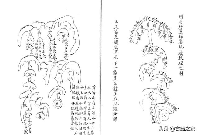 形家五要   风水古籍