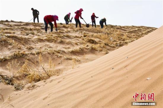 内蒙古达拉特旗：昔日沙漠中的“风干圪梁”变风水宝地