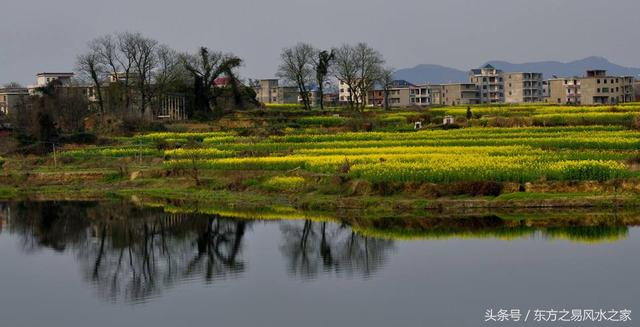 西方十二星座和命理风水中十二生肖四柱八字的比较