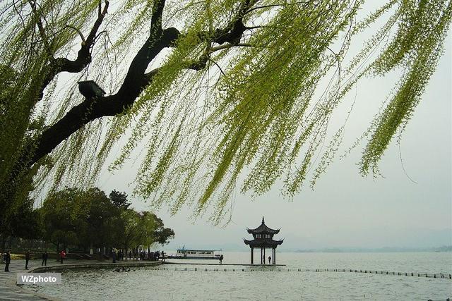 5种“辟邪”增福的植物，掐根枝条插门缝，乌七八糟都远离