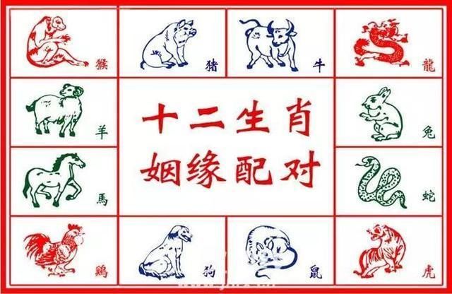 怎样算八字合不合(出生年月日看婚配)