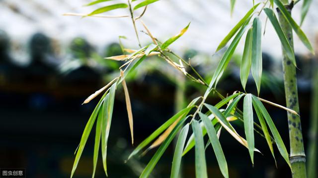 风水轮流转，把握这五个诀窍，人生才能越走越顺