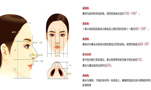 悬胆鼻女面相(悬胆鼻侧面)