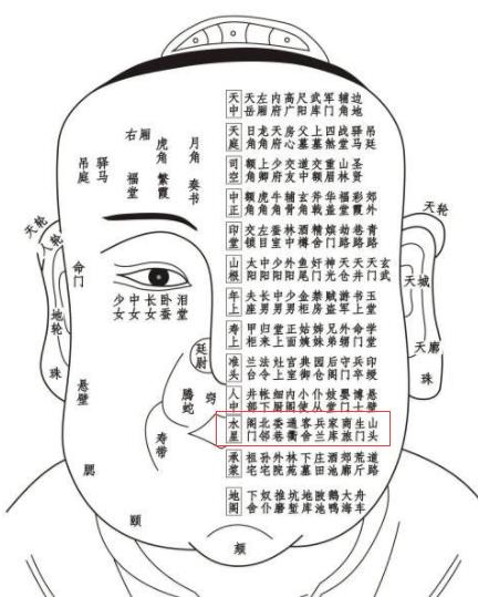 古相法精髓：《太清神鉴》面部一百二十部位详解（建议收藏）