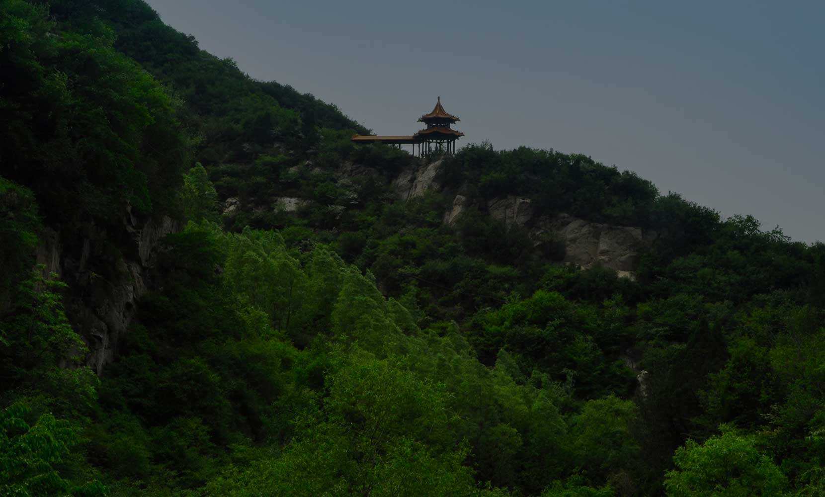 风水龟山顶(下山龟的坟葬哪个位置)