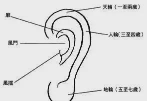 金火型面相(金型带木面相解析)