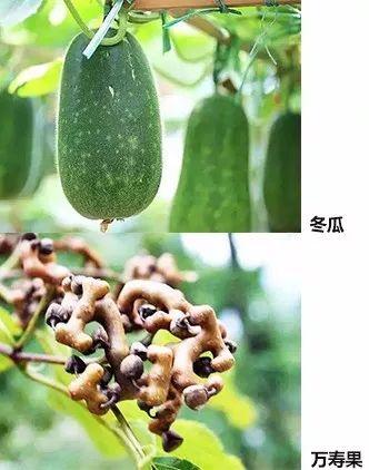 「益风说」大广东，风水5000年（一）