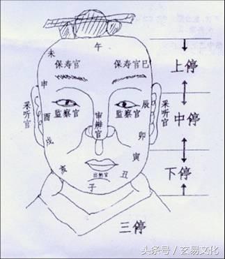 面相教学3：采听官、保寿官、监察官、审辨官、出纳官 上中下三停