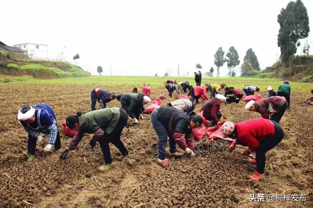 这两年， 桐梓风水人爱上了……