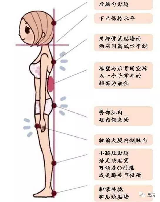 外八字走路(外八字走路姿势视频)