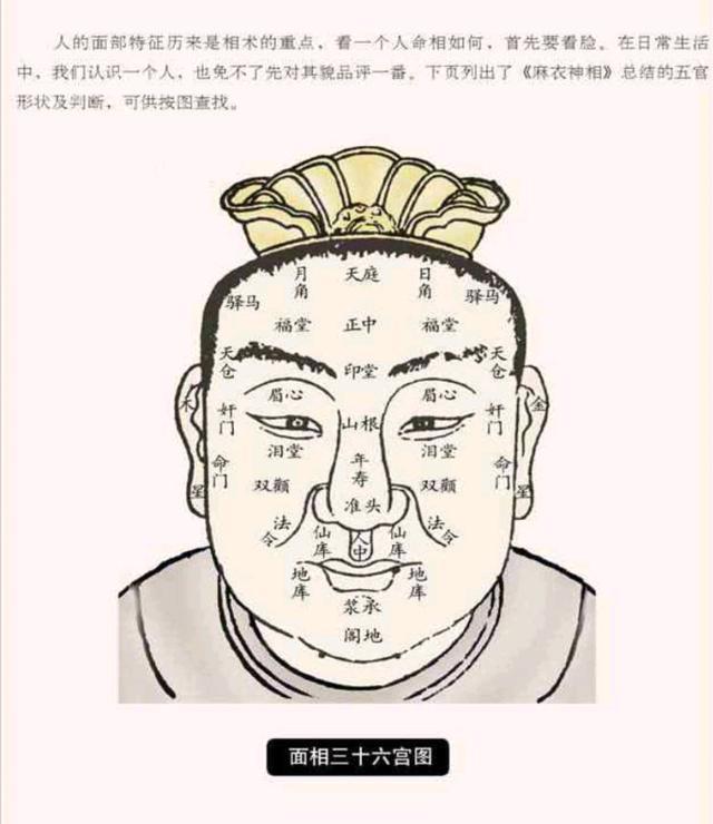 面相图解大全(面相分布图解大全)