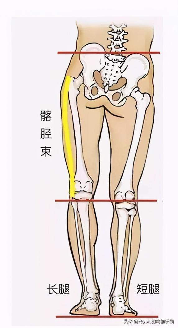 刘涛也内八字？X型腿如何破？做好这2步细直疏影腿你也有