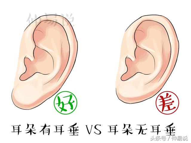 你的耳朵决定你，一生的命好不好，能不能富贵成双