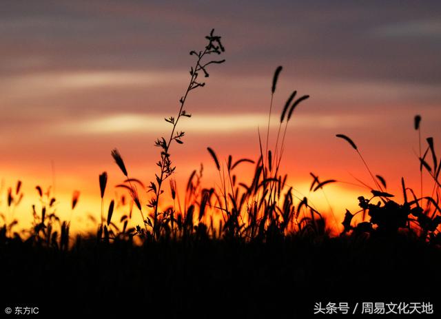 算命不求人！学命理你不可不知的十干天性和喜忌口诀