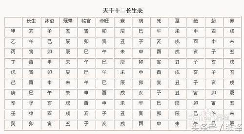 宝宝姓名八字测试打分(生辰八字算命免费测试)