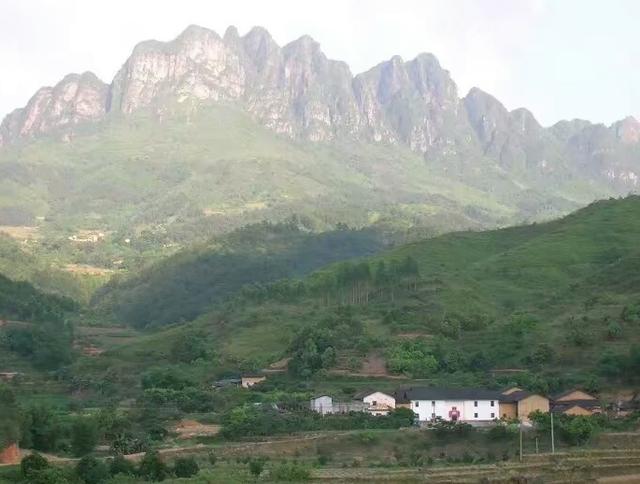 广西大山深处风水宝地，一亿都不卖，村里连续几年考清华北大