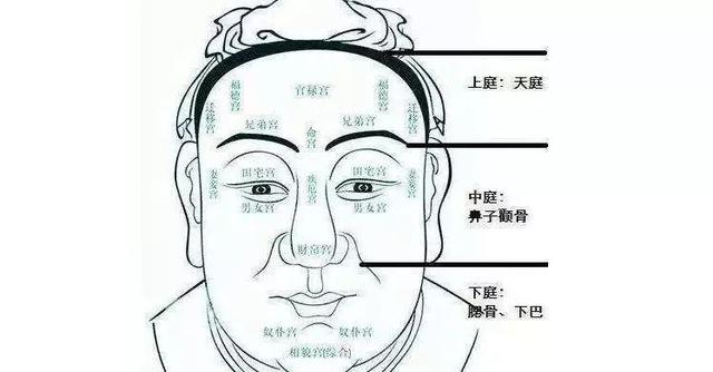 郭碧婷嫁入豪门全看脸？看看“豪门脸”都有什么特征！