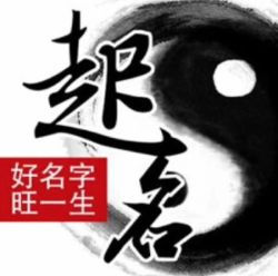 2020年出生的男鼠宝宝名字(2020金鼠起名字)