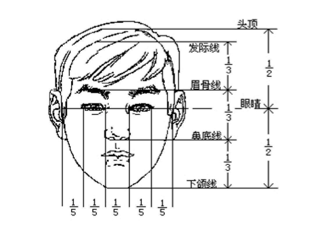 面相三庭五眼_三庭五眼是指什么