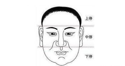 下巴 面相_下巴类型图解
