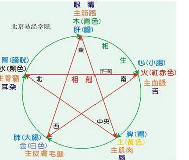 排八字的最基本步骤与五行的生克法则