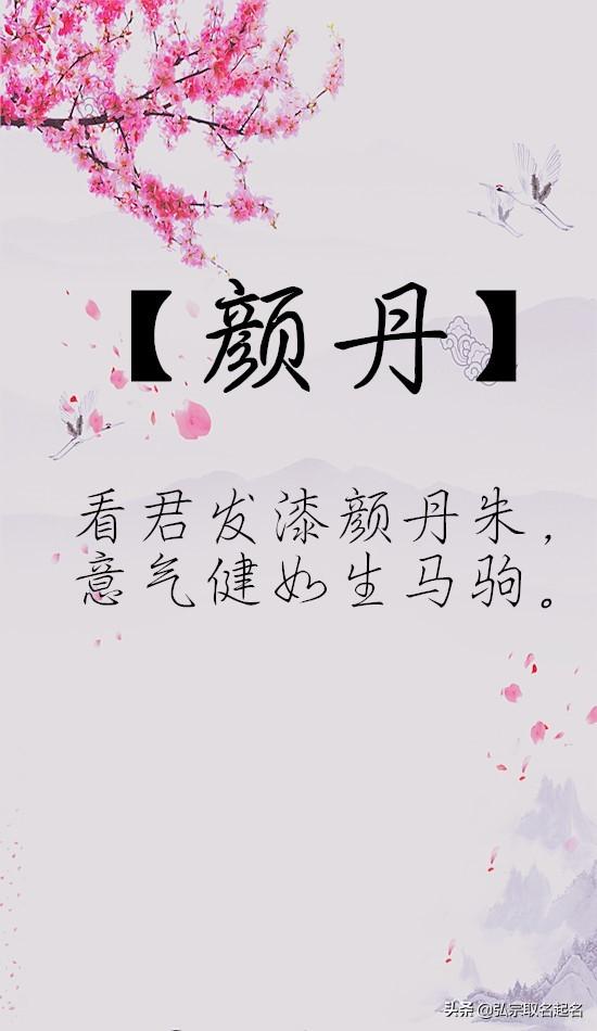 龙字取名女孩名字_姓龙的女孩名字100分