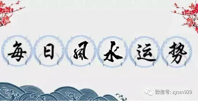 八字运程2020_麦玲玲2020年运程