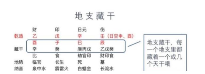 八字地支藏干表_八字地支藏干如何分析