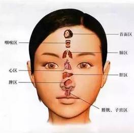 面相十二宫图_女人福德宫长痣嫁贵夫