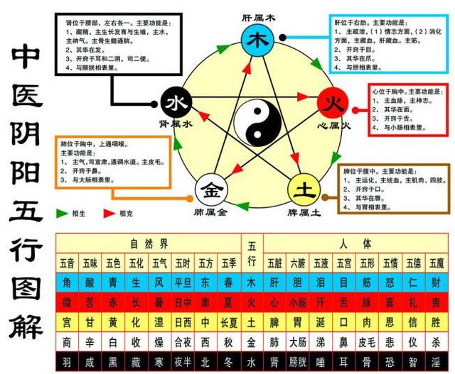 八字中的地支揭示了地气运动的规律，地支中共有十二个元素